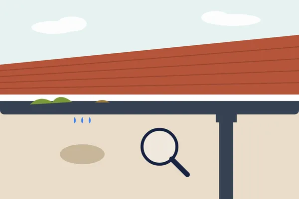 Illustration for gutter survey