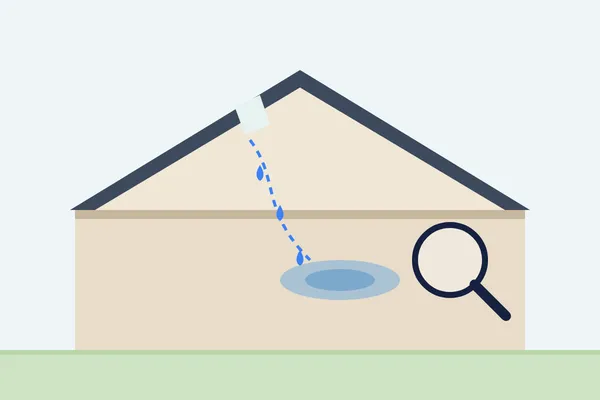 Illustration for roof leak investigation